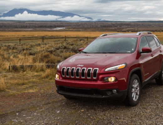 Stellantis sales decline 2024