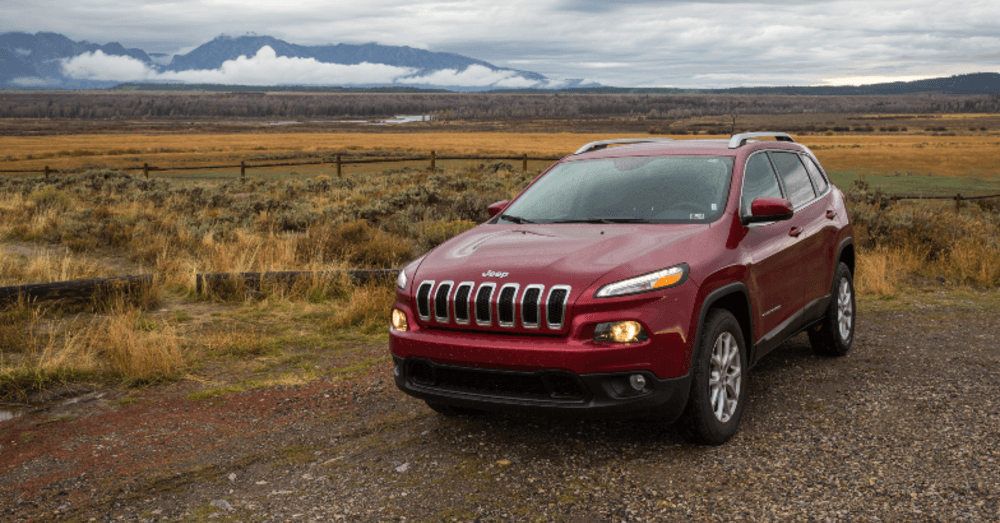 Stellantis sales decline 2024